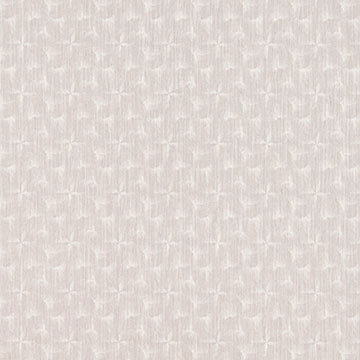 トミタ　Collage「Pinwheel ピンウィル」