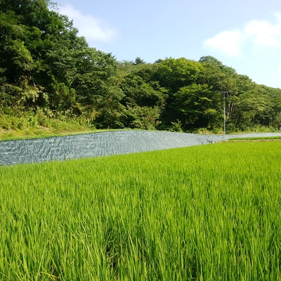 デュポン社ポリプロピレン・4層スパンボンド不織布「ザバーン®防草シート」