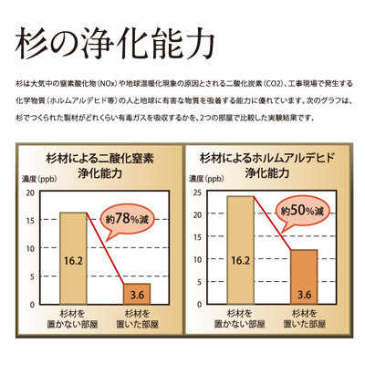杉の浄化能力