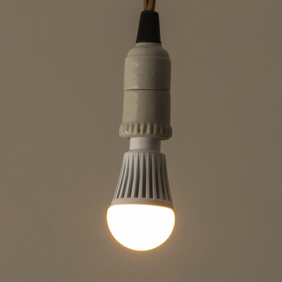AXCIS 照明 電球/付属パーツ「クリプトン型LED電球E17乳白 HS2753」