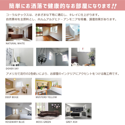 西洋漆喰珪藻土【CORAL TEX】 サムネイル画像8