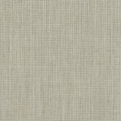 TEXTURE AND COLOUR V 「織物壁紙」全4色 TC-63501～63504 レーヨン