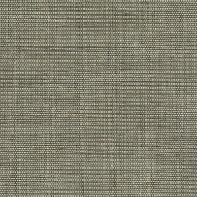 TEXTURE AND COLOUR V 「織物壁紙」3色 TC-63701～03 リネン・レーヨン