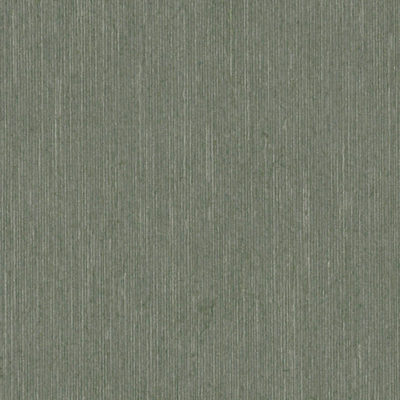 TOH-4503