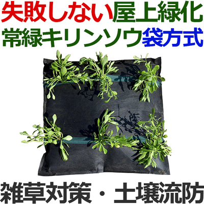 失敗しない屋上緑化システム「常緑キリンソウ袋方式」水やり不要・雑草防止・土壌流防対策・簡単施工