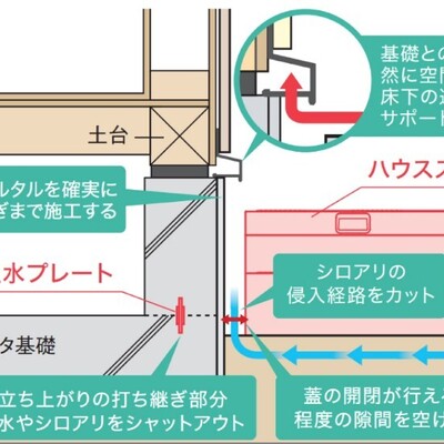 基礎から少し離してシロアリ対策！勝手口土間コンはシロアリ被害多い箇所です。